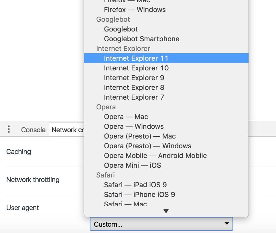 internet explorer for mac 10.13.1